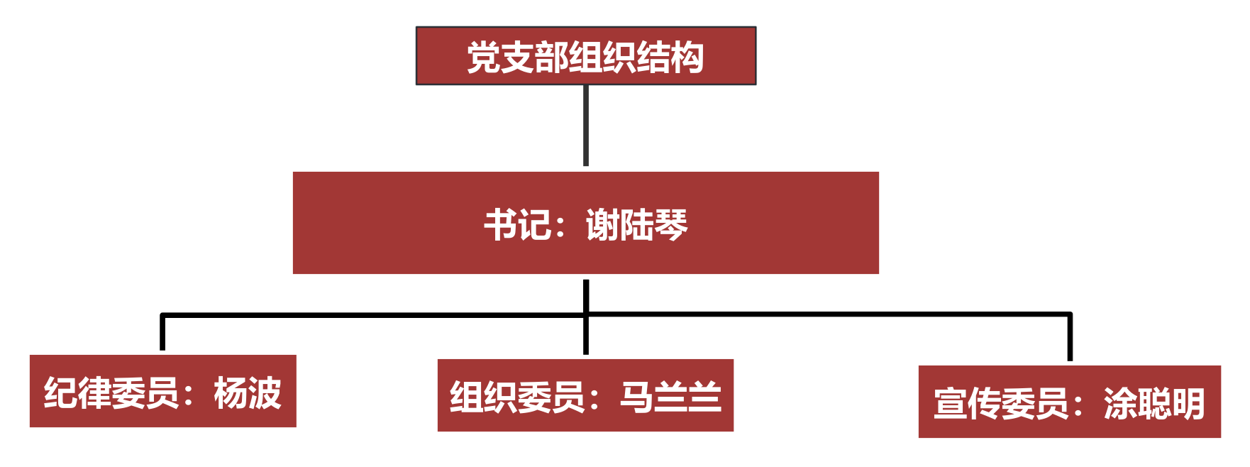 党支部组织结构图（官网）.png